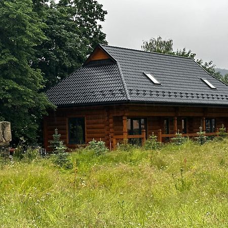 Chalet Pidstromom Vila Mykulychyn Exterior foto