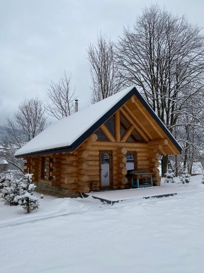 Chalet Pidstromom Vila Mykulychyn Exterior foto