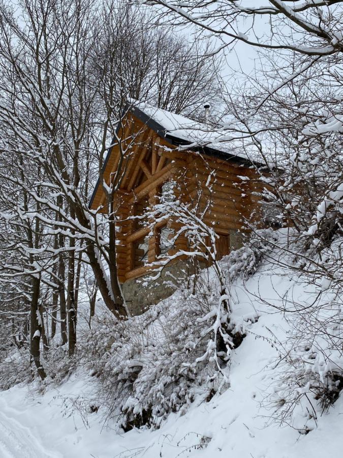 Chalet Pidstromom Vila Mykulychyn Exterior foto