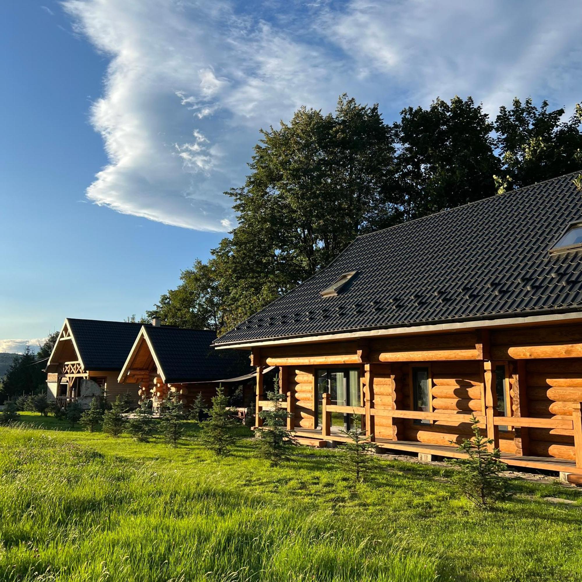 Chalet Pidstromom Vila Mykulychyn Exterior foto